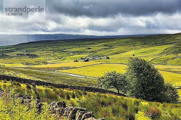 Blick ins Tal  offenes Hügelland  dünn besiedelt  Gebiet von außerordentlicher natürlicher Schönheit AONB  Teesdale  Durham  North Pennines  Nordengland  England  Großbritannien  Europa