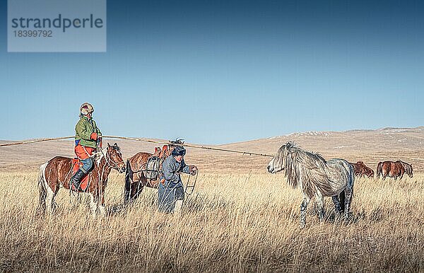 Reiter  die das Pferd mit der langen Stange einfangen. Provinz Dornod  Mongolei  Asien