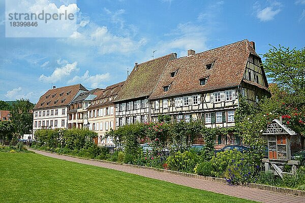 Kleiner Park mit Blick auf schöne traditionelle alte europäische Fachwerkhäuser im Stadtzentrum an einem sonnigen Tag  Wissembourg  Frankreich  Europa