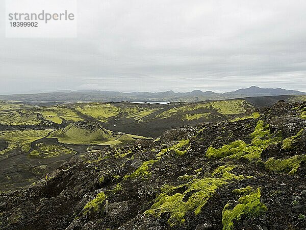 Moos bewachsene Vulkan-Landschaft  Kratersee  Laki-Krater oder Lakagígar  Hochland  Süd-Island  Suðurland  Island  Europa