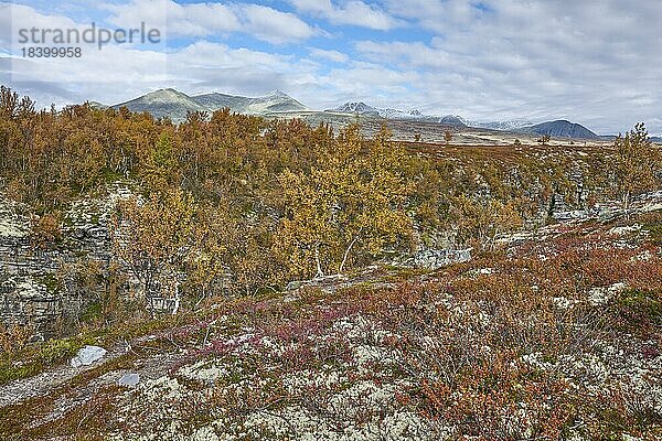 Herbstliche Landschaft im Rondane Nationalpark  Tundra  verschneite Gipfel im Hintergrund  Oppland  Norwegen  Europa