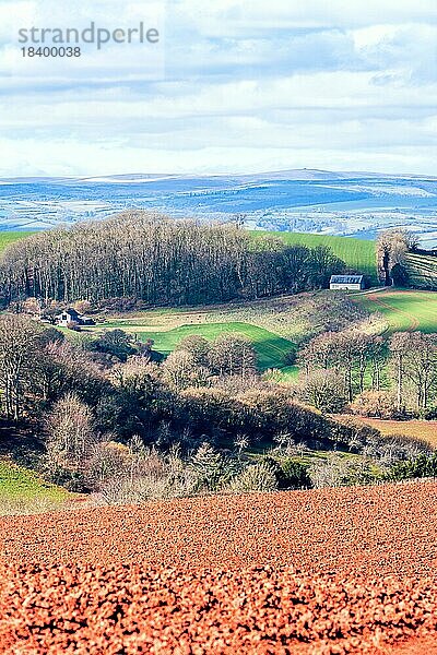 Felder und Ackerland über Devon  England  Großbritannien  Europa