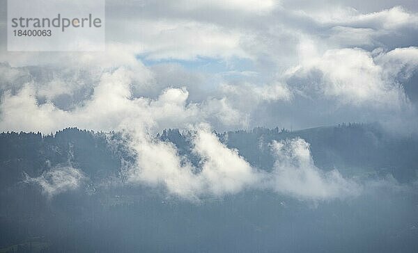 Wolkenverhangene bewaldete Berge  Vorarlberg  Österreich  Europa