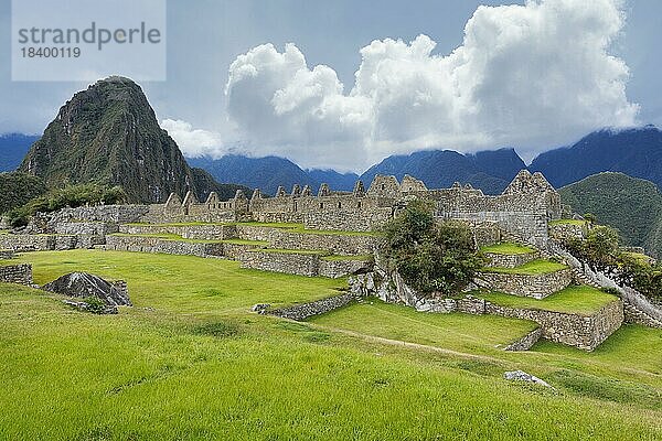 Machu Picchu  Ruinenstadt der Inkas mit dem Berg Huayana Picchu  Andenkordillere  Provinz Urubamba  Cusco  Peru  Südamerika
