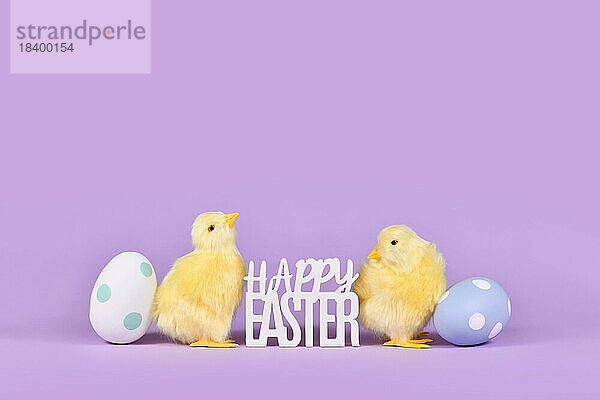 Ostereier  Huhn und Text Frohe Ostern auf violettem Hintergrund mit Kopierraum