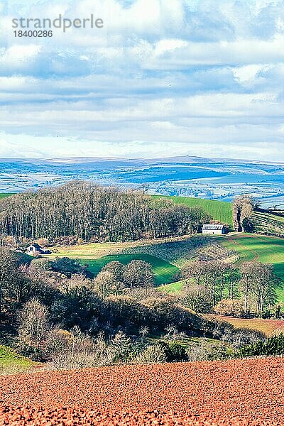 Felder und Ackerland über Devon  England  Großbritannien  Europa