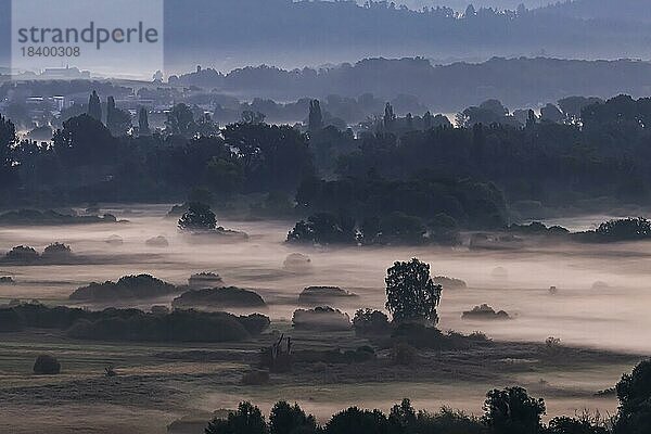 Morgenstimmung mit Herbstnebel am Bodensee  Landschaft im Naturschutzgebiet Zeller Aachried  Radolfzell  Baden-Württemberg  Deutschland  Europa