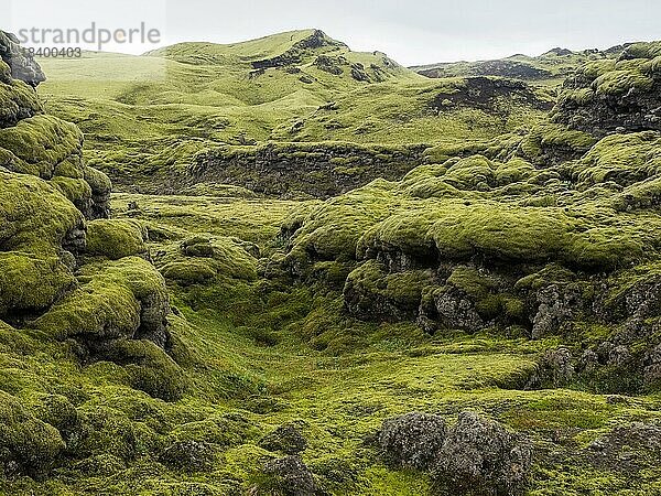 Moos bewachsene Vulkan-Landschaft  Tjarnargígur  Laki-Kraterlandschaft  Hochland  Süd-Island  Suðurland  Island  Europa