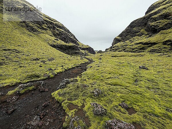 Kraterlandschaft Tjarnargígur  Moos bewachsene Vulkan-Landschaft  Laki-Kraterlandschaft  Hochland  Süd-Island  Suðurland  Island  Europa