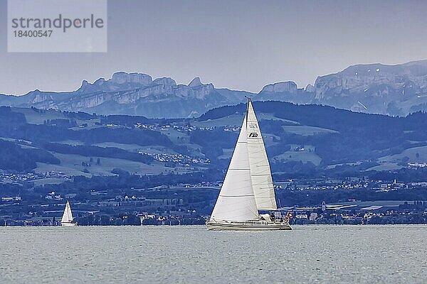 Segelboot auf dem Bodensee  im Hintergrund die Schweizer Alpen  Friedrichshafen  Baden-Württemberg  Deutschland  Europa