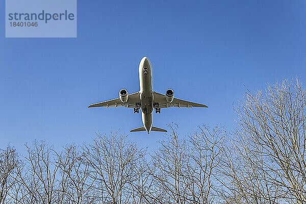 Flugzeug im Landeanflug  Blick von untern auf die Silhouette  UNITED AIRLINES  BOEING 787-9  DREAMLINER  Frankfurt am Main  Hessen  Deutschland  Europa