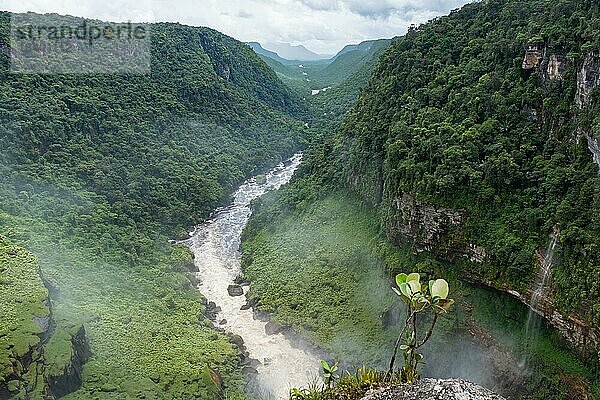 Luftaufnahme des Potaro Flusses von der Spitze der Kaieteur Fälle im Kaieteur Nationalpark  Guyana  Südamerika