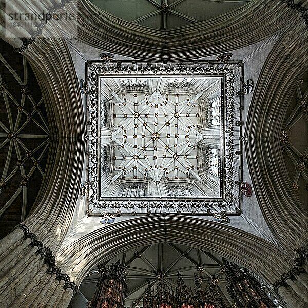 Spätgotisches Netzrippengewölbe über der Vierung  York Minster  Kathedrale  York  England  Großbritannien  Europa