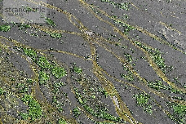 Blick aus der Luft auf das Delta des Gletscherflusses Þjórsá  Thjorsa im Sommer  Islands längster Fluss