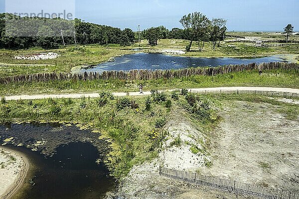 Blick über den Naturpark Zwin  Vogelschutzgebiet bei Knokke Heist  Westflandern  Belgien  Europa