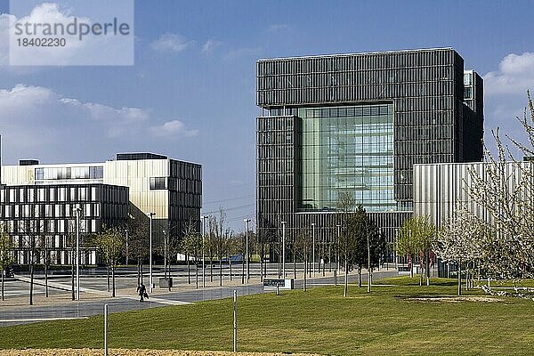Thyssenkrupp Hauptquartier  Konzernzentrale der Thyssenkrupp AG  Essen  Nordrhein-Westfalen  Nordrhein-Westfalen  Deutschland  Europa