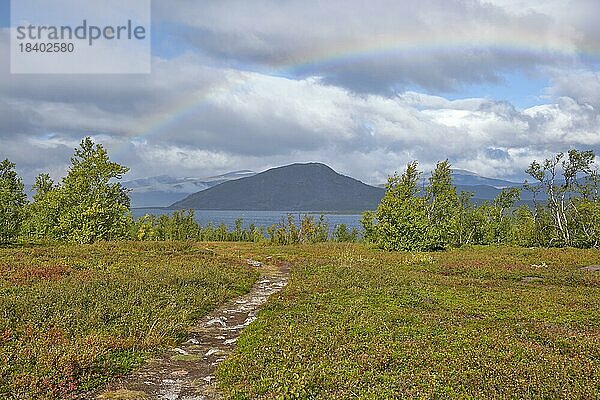 Regenbogen im Abisko Nationalpark  Lappland  Schweden Europa