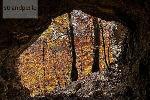 Felsenhöhle  Herbstwald  Schwäbische Alb  Baden-Württemberg  Deutschland  Europa