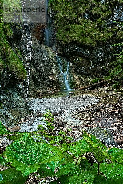 Schwieriger Pfad mit Leiter in der Nähe des Wasserfalls in der Schlucht des Nationalparks Slowakisches Paradies  Slowakei  Slowacki Raj National Park  Slowakei  Europa