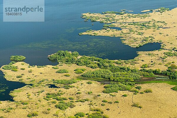 Luftbild des Dümmer See mit Schilfzone  Fluss  Hunte  Binnensee  Luftbild  Lembruch  Niedersachsen  Deutschland  Europa