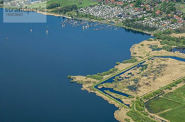 Luftbild des Dümmer See mit Schilfzone und Segelhafen  Binnensee  Luftbild  Lembruch  Niedersachsen  Deutschland  Europa