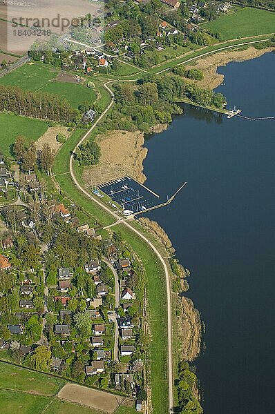 Luftbild des Dümmer See mit Schilfzone  Binnensee  Luftbild  Lembruch  Niedersachsen  Deutschland  Europa