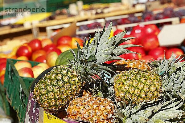 Ananas und Obst an einem Marktstand  Deutschland  Europa
