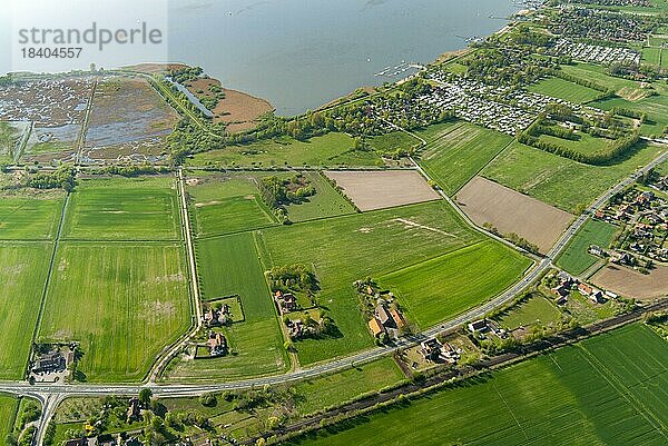Luftbild des Dümmer See mit Schilfzone  Binnensee  Luftbild  Lembruch  Niedersachsen  Deutschland  Europa