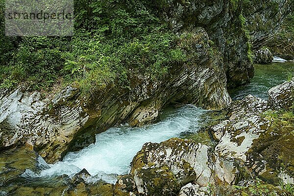 Ein Bach (Radovna) mit Stromschnellen durchfließt ein felsiges Tal in den südlichen Kalkalpen. Slowenien  Bled  Triglav-Nationalpark