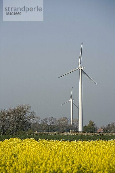 Rapsfelder  Windmühle  Windkraft  Windenergie  Regenerative Energie  Ostfriesland  Deutschland  Europa