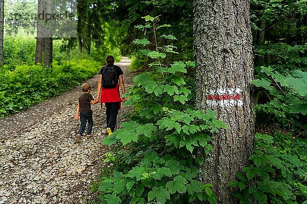 Rote Markierung des Wanderweges  gemalt auf einem Baum Wandernde Touristen im Hintergrund. Polnische Berge  Polen  Europa