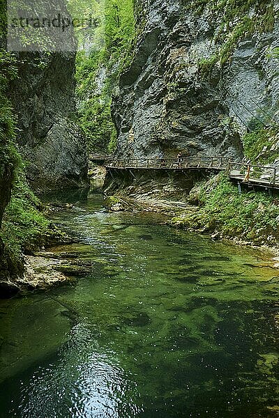 Ein Bach (Radovna) mit klarem Wasser fließt durch eine felsiges Schlucht in den südlichen Kalkalpen. Slowenien  Bled  Triglav-Nationalpark