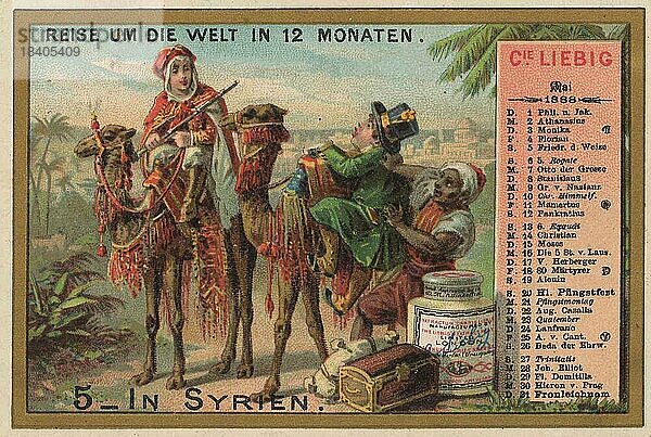 Bilderserie Reise um die Welt in 12 Monaten  Kalender II  In Syrien  der Reisenende versucht auf ein Kamel aufzusteigen  digital restaurierte Reproduktion eines Sammelbildes von ca 1900