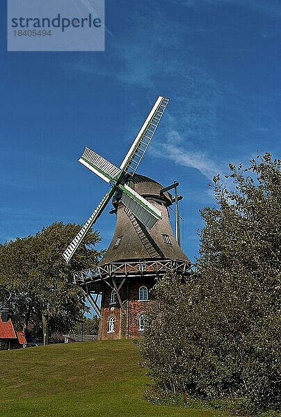 Galerieholländerwindmühle in Midlum  Landkreis Cuxhaven  Deutschland  Europa
