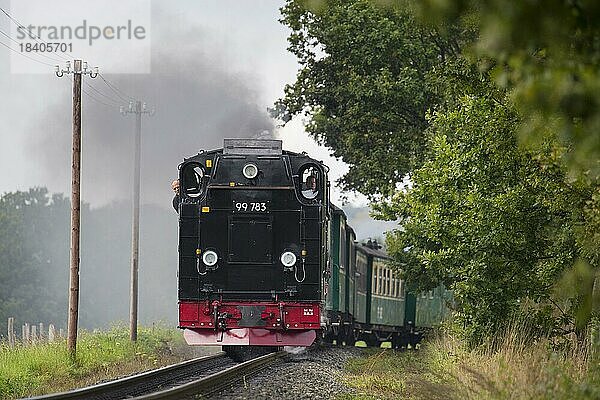 Dampflokomotive 99 783 des Rasenden Roland auf der Rügenschen Bäderbahn auf der Insel Rügen  MecklenburgVorpommern Deutschland