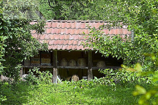 Der Osnabrücker Hof im Westfälischen Freilichtmuseum Detmold  Bienenhaus  Deutschland  Europa