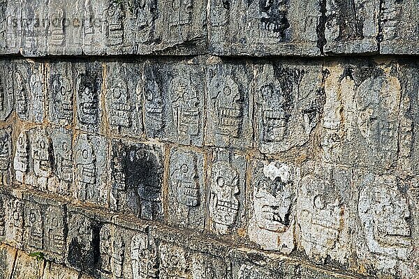 Tzompantli  Schädelplattform  Plataforma de los Cráneos  Relief mit Schädeln in der präkolumbianischen Stadt Chichen Itza  Yucatán  Mexiko  Mittelamerika