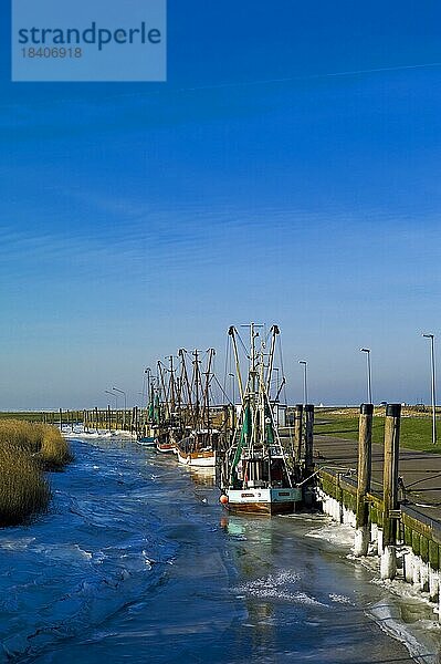 Spieka Neufeld  vereister Kutterhafen  Landkreis Cuxhaven  Deutschland  Europa