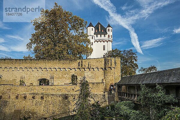 Kurfürstliche Burg  Eltville  Rhein  Rheingau  Hessen  Deutschland  Europa