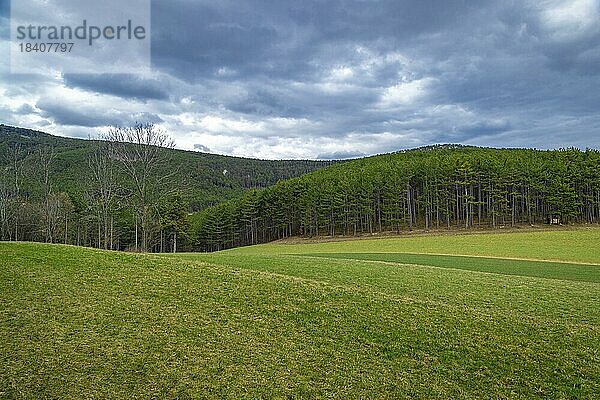 Landschaft mit grüner Wiese und Wald  Hügellandschaft  dramatische Wolken  Ternitz  Niederösterreich  Österreich  Europa