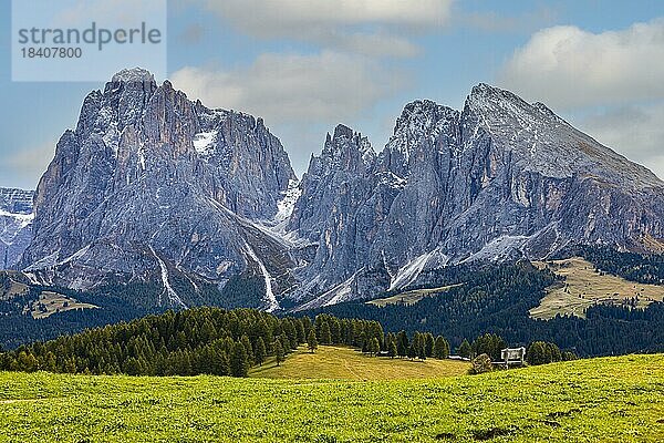 Almwiesen auf der Seiser Alm  hinten die schneebedeckten Gipfel der Langkofelgruppe  Grödnertal  Dolomiten  Südtirol  Italien  Europa