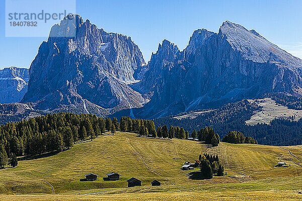 Herbstliche Almwiesen und Almhütte auf der Seiser Alm  hinten die Gipfel der Langkofelgruppe  Grödnertal  Dolomiten  Südtirol  Italien  Europa