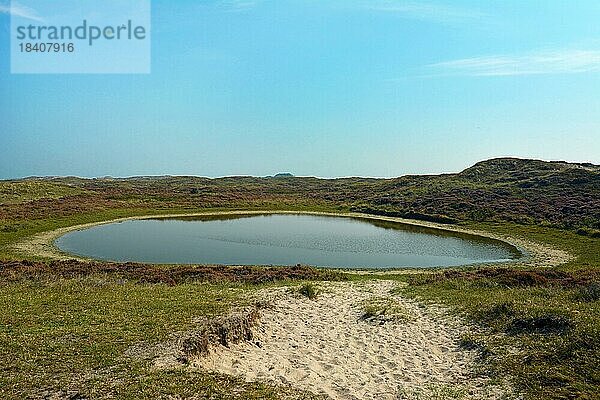 Wasserstelle für Tiere im Naturschutzgebiet Bollekamer auf der Insel Texel in den Nordniederlanden