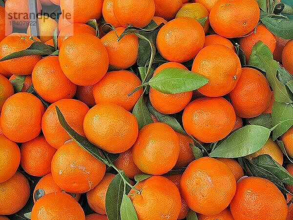 Clementinen-Orange