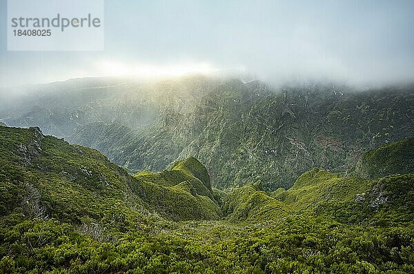 Berge und Schluchten mit Nebel  Achada do Teixeira  Madeira  Portugal  Europa