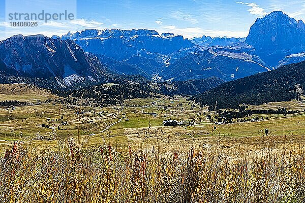 Herbstliche Almen oberhalb von Sankt Christina  Grödnertal  Dolomiten  Südtirol  Italien  Europa