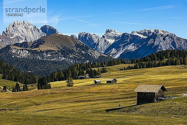 Herbstliche Almwiesen und Almhütten auf der Seiser Alm  hinten die Gipfel der Geisler- und der Putz-Gruppe  Grödnertal  Dolomiten  Südtirol  Italien  Europa