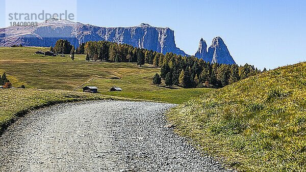 Schotterstraße auf der Seiser Alm  hinten der Gipfel des Schlern  Grödnertal  Dolomiten  Südtirol  Italien  Europa