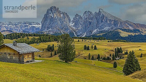 Herbstliche Wiesen und Almhütten auf der Seiser Alm  hinten die schneebedeckten Gipfel der Langkofelgruppe  Grödnertal  Dolomiten  Südtirol  Italien  Europa