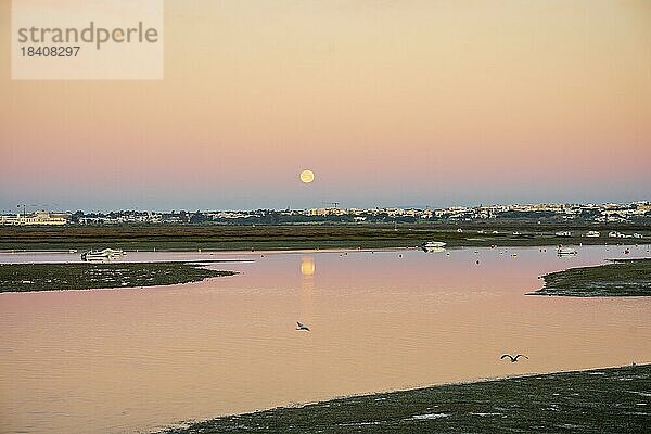 Früher Morgen in Faro  Gewässer der Ria Formosa mit Monduntergang und Vögeln  Algarve  Portugal  Europa